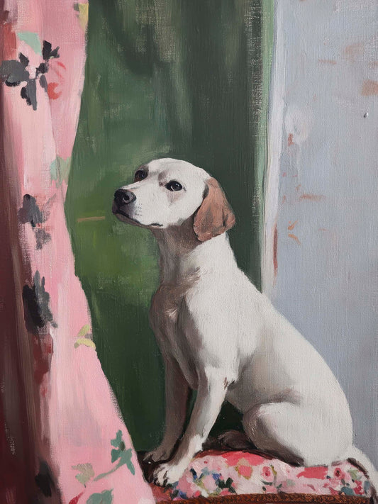 Magnolia Jane